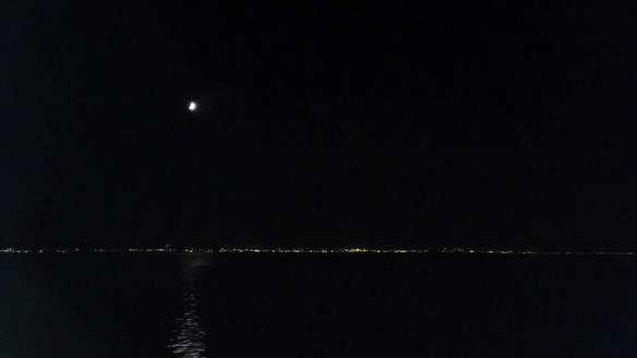 IMG_20140802_214252.jpg image