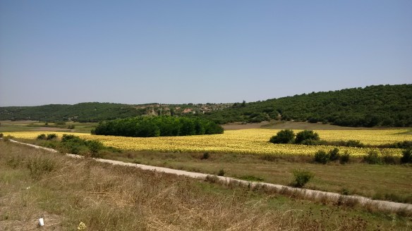 IMG_20140803_140939.jpg image