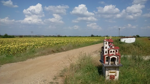 IMG_20140803_160253.jpg image