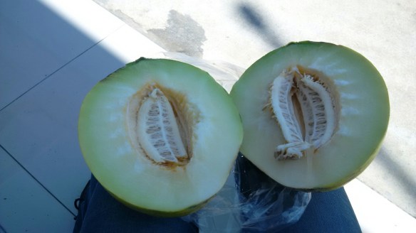 IMG_20140807_131251.jpg image