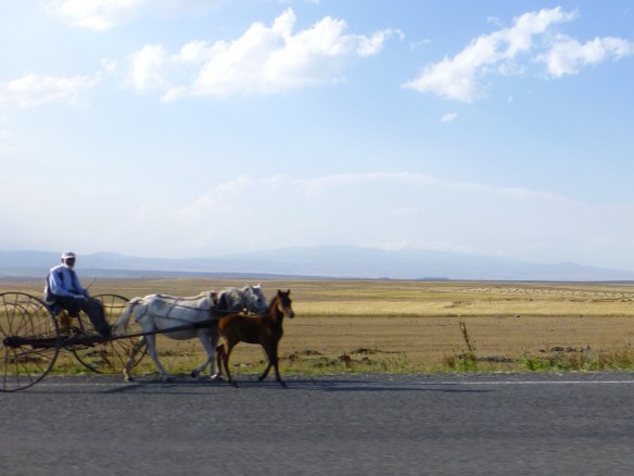 P1180093_edit.JPG image