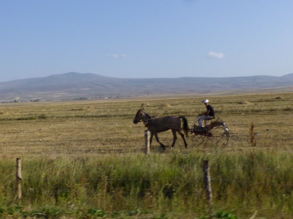 P1180099_edit.JPG image