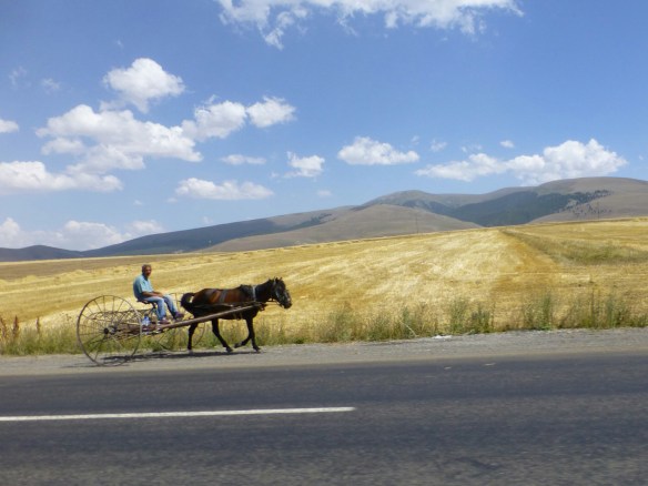 P1180237_edit.JPG image