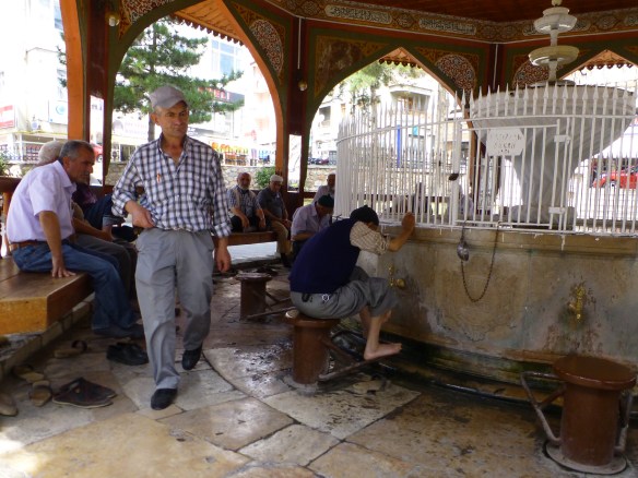 P1180308_edit.JPG image