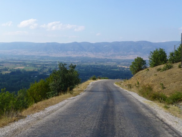 P1180408_edit.JPG image