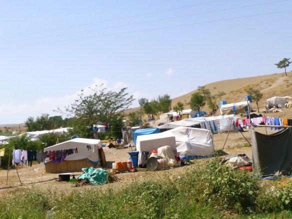 P1180639_edit.JPG image