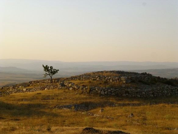 P1180809_edit.JPG image