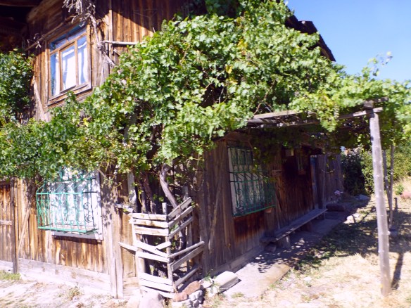 P1190211_edit.JPG image