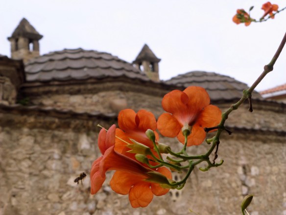 P1190266_edit.JPG image