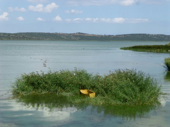 P1190304_edit.JPG image