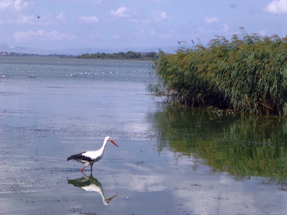 P1190309_edit.JPG image