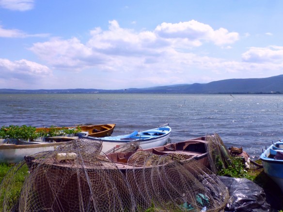 P1190311_edit.JPG image