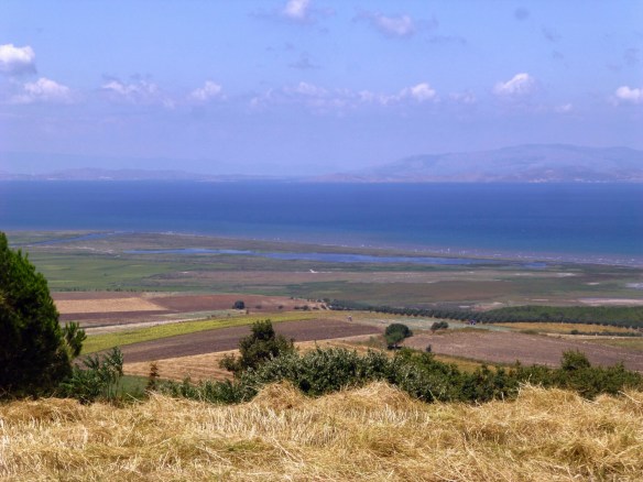 P1190337_edit.JPG image