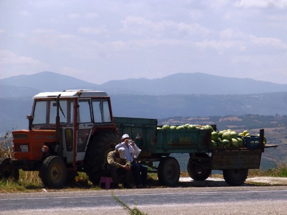 P1190339_edit.JPG image