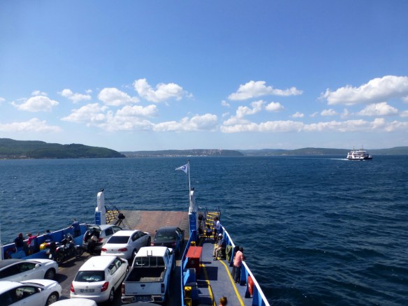 P1190359_edit.JPG image