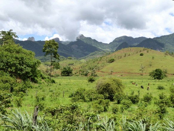 1010256_edit.jpg image