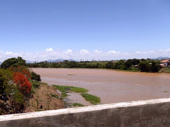 1010271_edit.jpg image