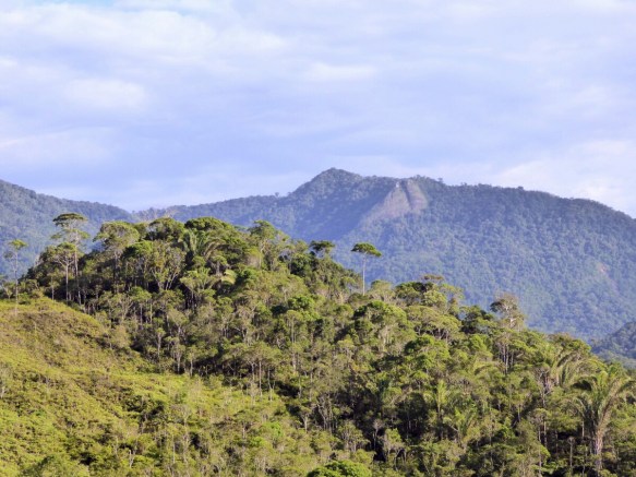 1010520_edit.jpg image